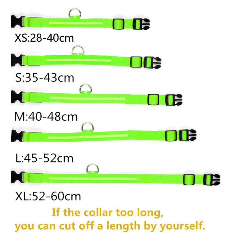 LED Glowing Dog Collars