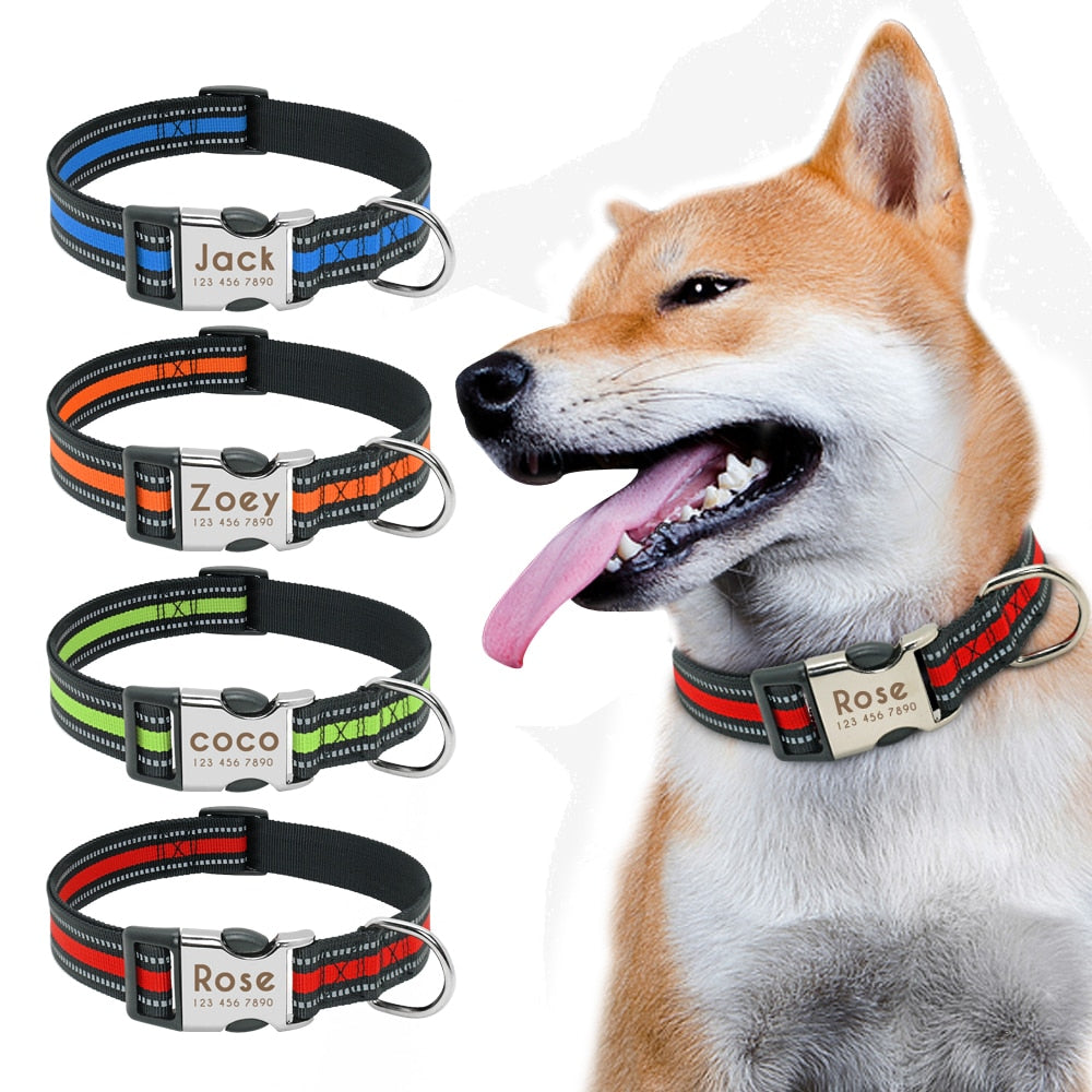 Nylon Dog Collar Personalized