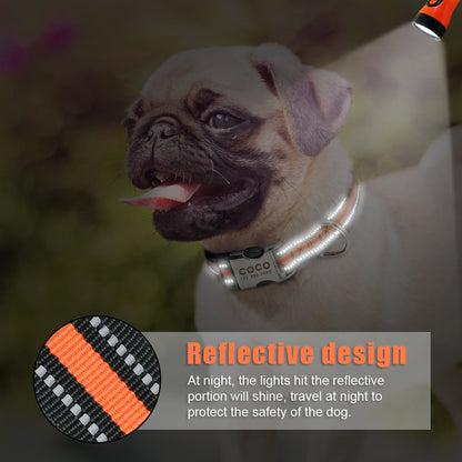 Nylon Dog Collar Personalized