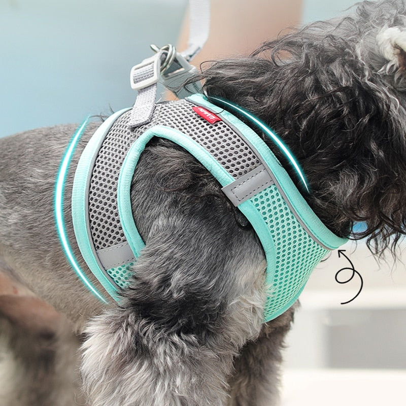 Dog Harness Clothes ajustable