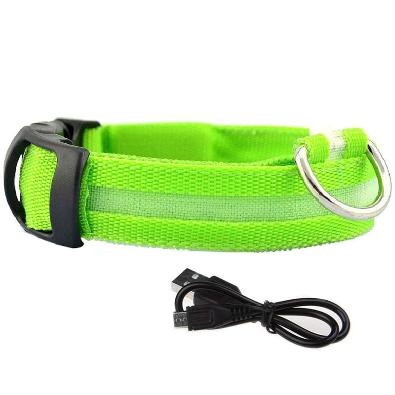 LED Glowing Dog Collars