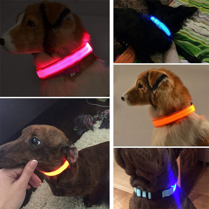 LED Glowing Dog Collars