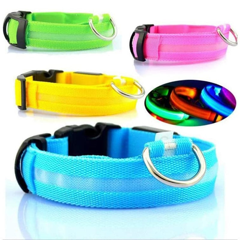 LED Glowing Dog Collars
