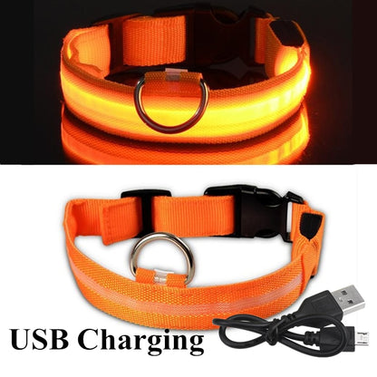 LED Glowing Dog Collars
