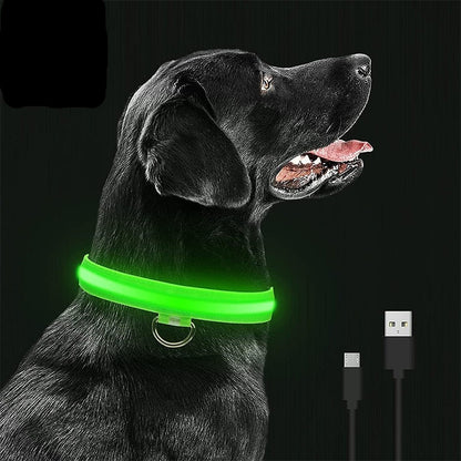 LED Glowing Dog Collars